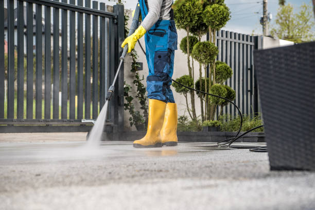 Professional Pressure Washing Services in Maysville, NC